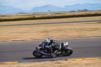 anglesey-no-limits-trackday;anglesey-photographs;anglesey-trackday-photographs;enduro-digital-images;event-digital-images;eventdigitalimages;no-limits-trackdays;peter-wileman-photography;racing-digital-images;trac-mon;trackday-digital-images;trackday-photos;ty-croes